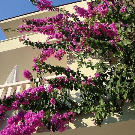 Apartments Villa Cizmic Baska Voda Ngoại thất bức ảnh