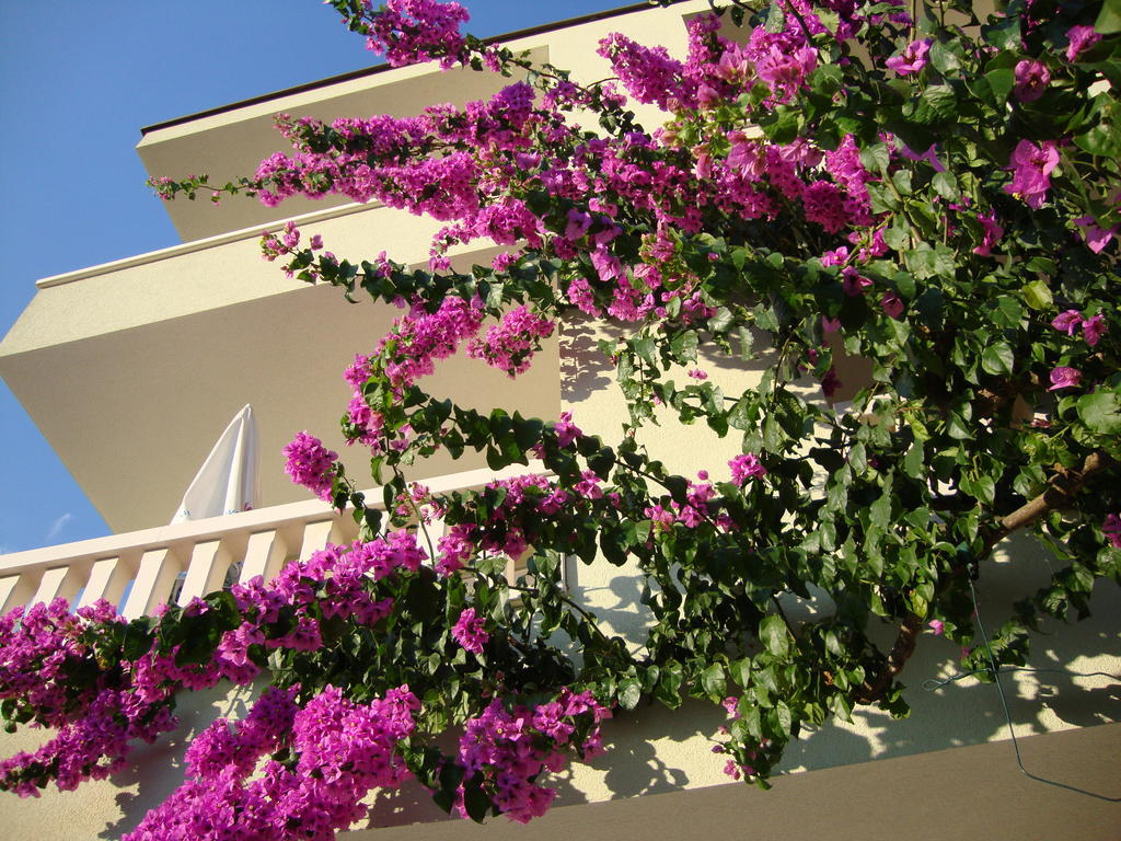Apartments Villa Cizmic Baska Voda Ngoại thất bức ảnh