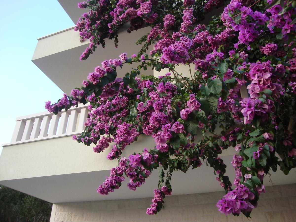 Apartments Villa Cizmic Baska Voda Ngoại thất bức ảnh